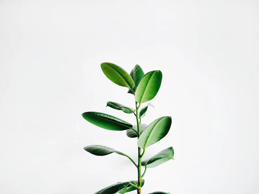 CAFM-Blog.de | Effiziente Anlagenwartung mit der richtigen Software-Lösung CAFM-Blog.de | Efficient Plant Maintenance with the Right Software Solution