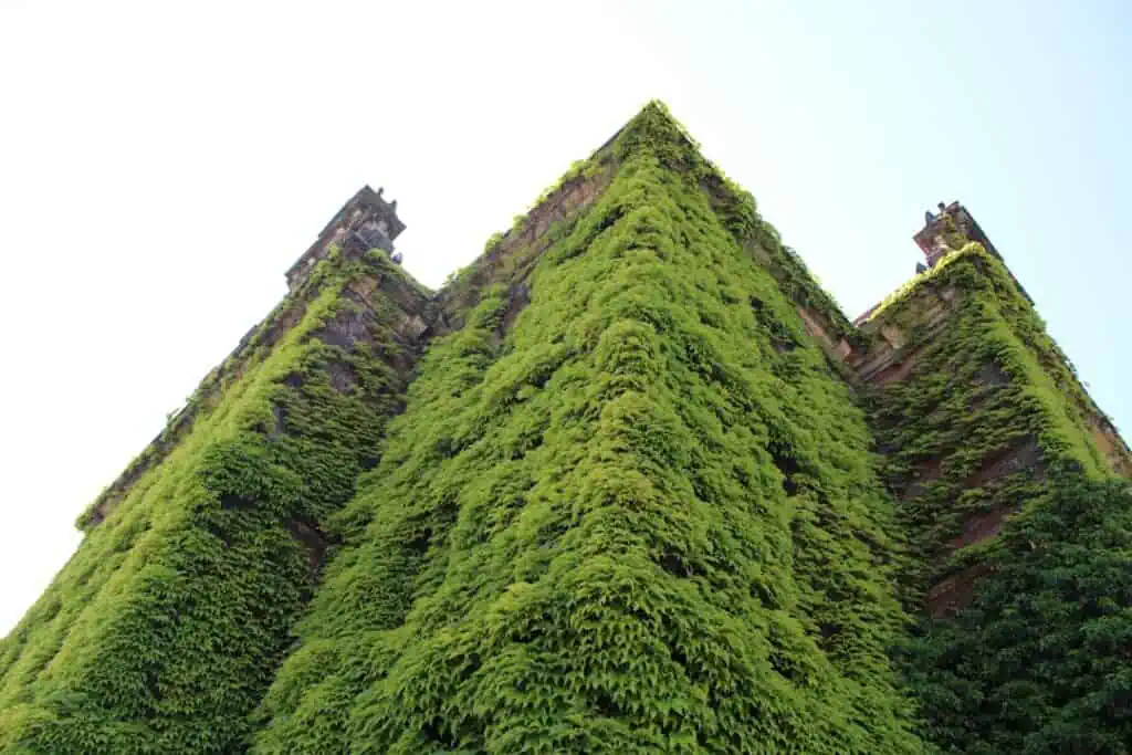 Photo Green building
